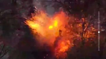 Опубликованы кадры боев за Бобылевку в Сумской области