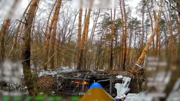 ������� �����������. ������ �.�. ���������� ��� ��������� ���� �-64�� ���