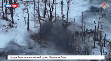 ����� ���� �� ���������� ����� �������� ����