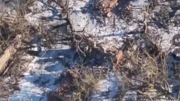 ������� ������� ���� �������� ����������� ���������� ������� � ������ ������ ��� � ������� �������