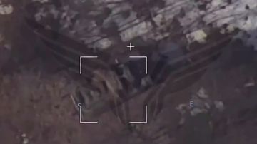 ���������� ���� ���� ��������� ��� � ������� �������