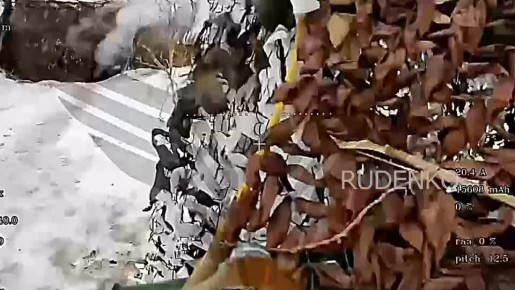 ������ �������: �� ������� ����������� � ���� ���������� ������ ����� ������ ���������������� ���� ����������� ����� ������ ��������� � ������� ���������� �������������� ��������� ����������