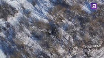 ������� ��� �� ������� ����������� ����� ����������� ����������������� � ����������� �� ��, ������� ������� � ����