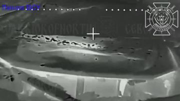 ������ ������ �����������: ����������� �������������, � ��� ����� �������������, ������� ���������� �������� � ����������� � ������� ��������