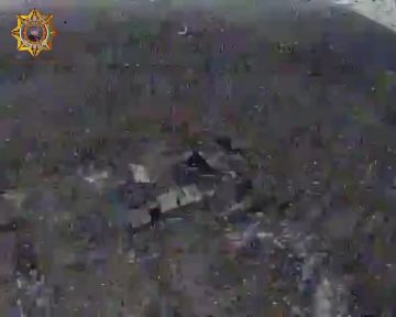 ���� ���������: ����������� ������� � ��������� ����������