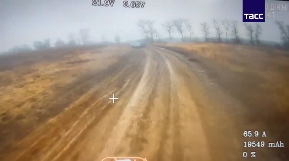 �������� �����: ������� ����� ����������� "�����" ������� ������� ��� �� ������� �����������, �������� � �� ��