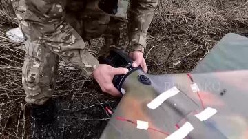 ������ �������: ������ ������ ������������� ����� ����������� ������ ����������� ����� ������ �� ������� �����������