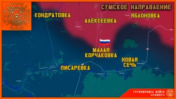 Группировка войск "Север" освободила село Малая Корчаковка в Сумской области!