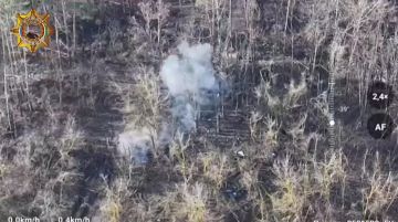 ���� ���������: ����������� ������� ���� ����������