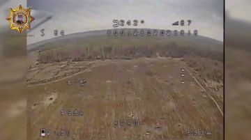 ���� ���������: ���������� ������� ��������� ���������� � ������� � �������� ����������