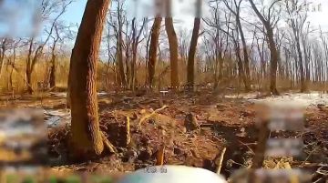 ��������� �������: ����� ������ ������ ���������� �������� �� ������� �����������