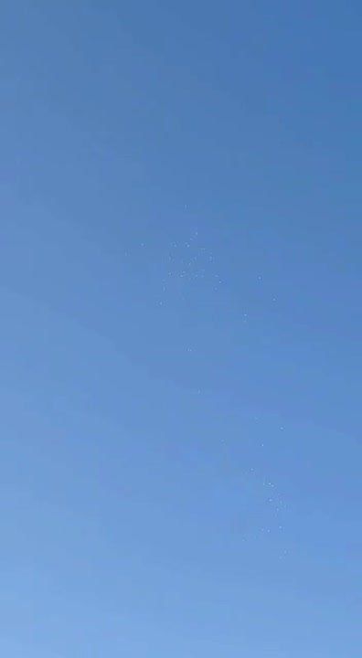 ������ ������ � ���� ������� �� ������� � ������������