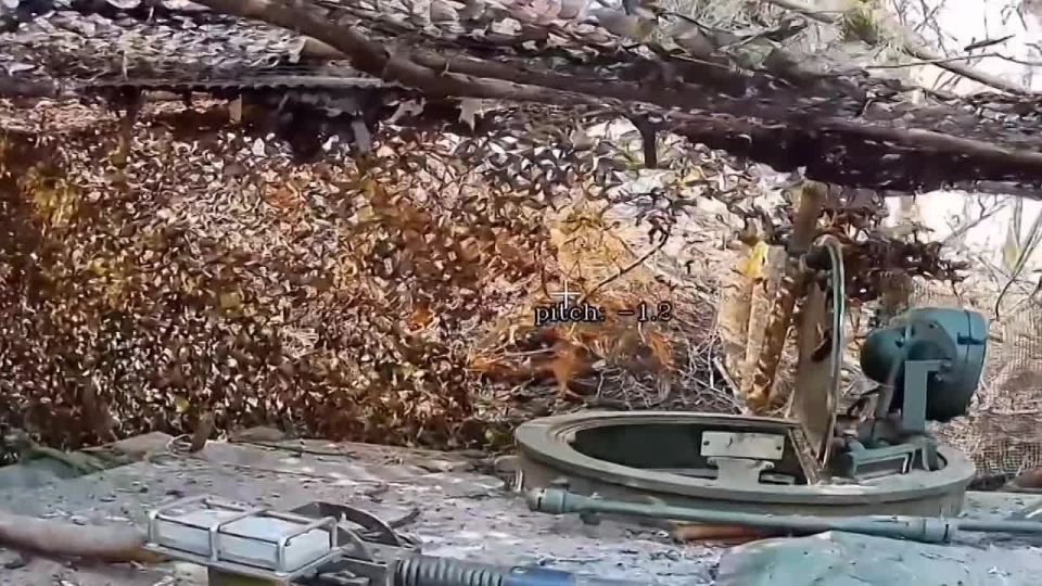 "Север" продолжает зачистку лесов в приграничных районах Харьковской и Сумской областей