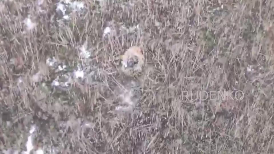 ������ �������: ������������� ����������� ������ ��� ������� ������� ��� � ������� �������