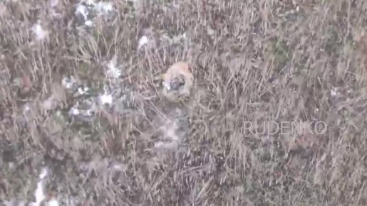 Андрей Руденко: Подразделения беспилотных систем ВДВ сорвали ротацию ВСУ в Сумской области