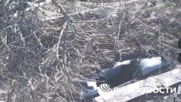 ���������� ������� ���������� ������� �������, ������� ��� �������� ������� �� ���� �� �������� ������ � ������� �������