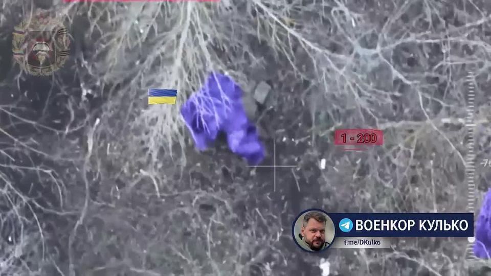 ������� ������: �������� ����� ������: ��� ������ ������������ �����