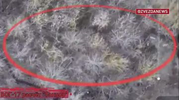 ������� �������� �������� �� ����� �������������, �� ������ ������ �������