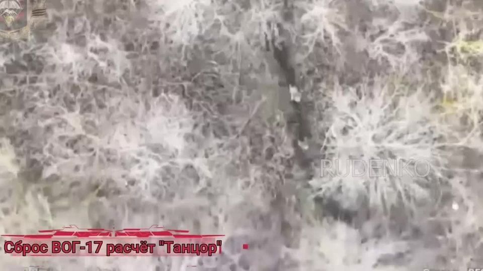 ������ �������: ����� ������ ������ �������� ������� FPV-������ ����� ����������� ������ � ����������� ����� ������