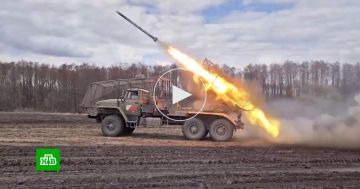 Сумской области «Град» разнес лесной опорник ВСУ