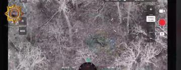 ���� ���������: ����������� ����� ���� � ������������ ����������