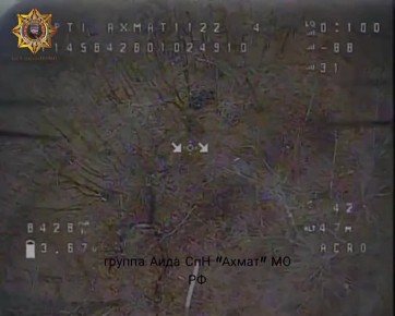 ���� ���������: ����������� ��������� � ������� ����������