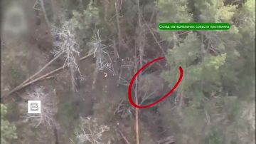 ���������� �� ������������ ����� ������������ ���� ������ � ����������� �������