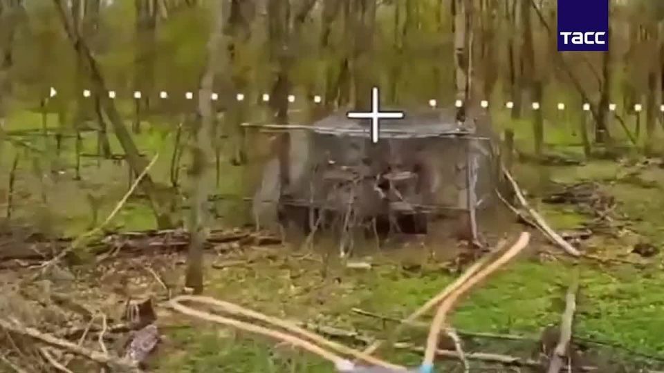 �������� �����: �������� ��� 83 ���������-��������� ������� �������� � ����� ���������� �-64�� � ������� �������