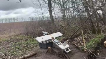 ������������� ����������� ������ ��� ���������� ������ ��� � ������� ������ � ������� �������