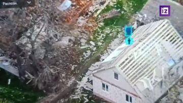 ����� ������������ ����������� �������� ����������� ������ ������������� � ������� ������� ������������ ���������� ��