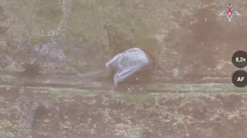 ���������� ������: � ���� ��� ����������� ����������� ������ ��� ���������� ���������� � ������� ���� ����� � ����������� � ���� ���������� � ������� �������