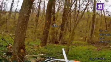 ����� ������������ �������� ��� ���������� � ������� ������� ������������ ���������� ��