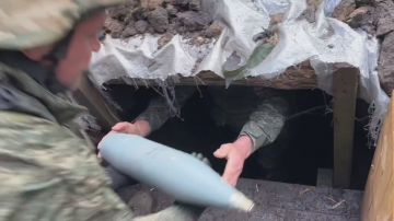 ������� ���������: ����������, ������������� �� ��������� ������ ���������� ����� � ����������� �������, ������� ��� �������� ������������� ����������� ����� "�����"