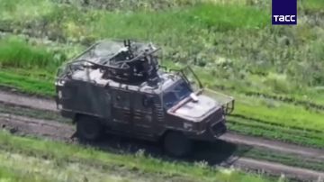 Кадры установления контроля над населенными пунктами Рясное и Запселье в Сумской области