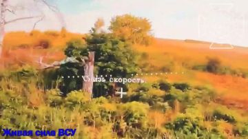 ���� ��������� ���� ���������� ����� ���� ��� � ������� �������