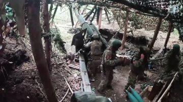 ����� ������������ ������������ ������� �������