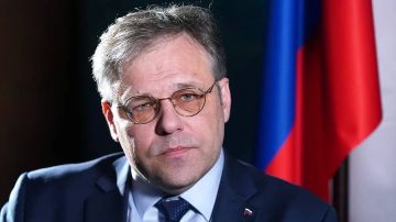 Киев переключился на террор, чтобы скрыть поражения на фронте