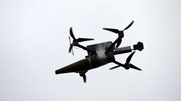 ���������� ������ �������� ����������� ��� �������� ��� �������� FPV-�������