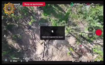 Апти Алаудинов: Подавление огневых позиций противника