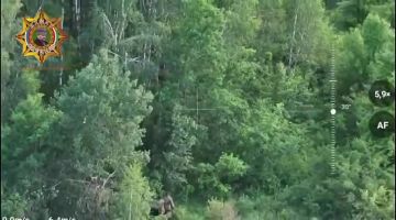 Апти Алаудинов: Уничтожение живой силы противника