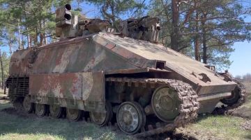 Боевики украинского "Азова"* отстреливались от теробороны и Нацгвардии