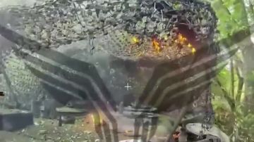 ������� ���������: � ���������� ����� ����. "��������" �������� "��������" � ������ �.�. ������� ������� �������