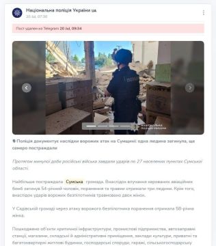 Дмитрий Стешин: В Сумах с детским садиком (дiчачим садком -рчкряк) неудобно получилось