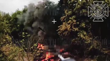 Операторы из 1 гв МСП ГрВ "Север" уничтожили оптоволоконными дронами всушную 155-мм САУ 2С22 "Богдана" в районе села Поляное Сумской области