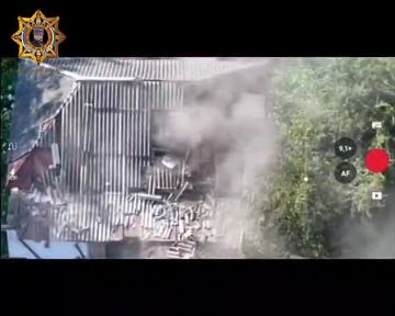 ���� ���������: ����������� ��� ����������