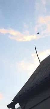 ������ �������: ���������� "������" ���� �� ���� �� �������� �������������� �������� ������� ������� �������� ���������� ���������