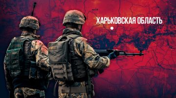 "Неприкрытая правда о заградотрядах": Набор в штурмовики закрыт. 50 тысяч солдат принесли в жертву. Бригады – в крупнейших котлах