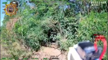 ���� ���������: ����������� ���������� ������ ����������