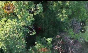 ���� ���������: ����������� ��������� ���������������� ��������� � ��������� � ��. ������� �����������