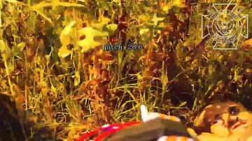����� � ������� �������: ��������� �� "�����" �� �������� ������ �� ��������� ���������� �������������
